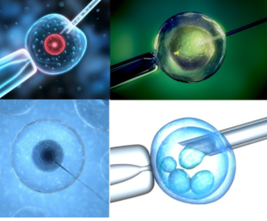 胚胎移植前后注意事项 胚胎移植需要做哪些准备