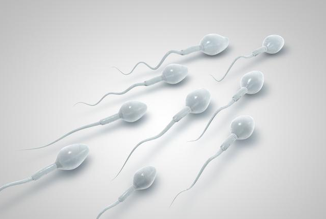 男性备孕期越想怀孕越怀不上是怎么回事 排卵期勃起功能障碍治疗方法