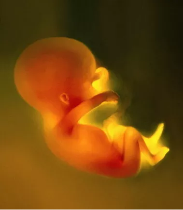胎儿太小是因为营养不够吗 胎儿太小是什么原因