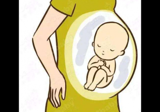 刚怀孕要注意点什么 孕早期要注意什么