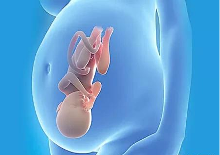 胎儿宫内缺氧的表现有哪些 如何检测胎儿是否宫内缺氧
