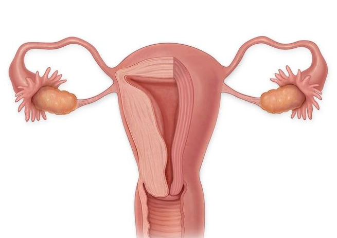 女性宫颈长痘痘是怎么回事 宫颈囊肿会变成宫颈癌吗