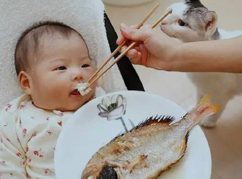 鱼的什么部位不能给孩子吃 孩子怎么吃鱼更健康