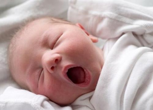 早产儿护理重点是什么 早产儿3大护理要点