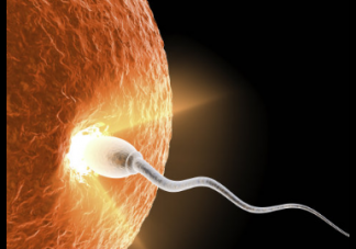 男性的精液量少能生育吗 关于男性精液的十个问题