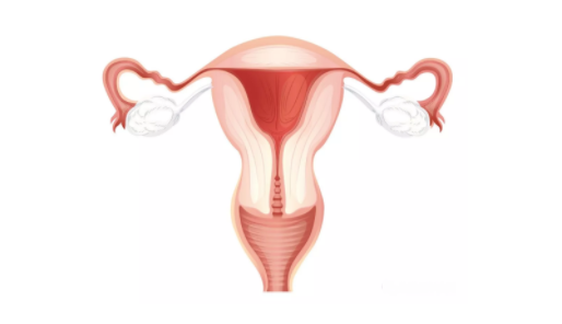 子宫内膜增厚的症状 子宫内膜增厚有哪些危害