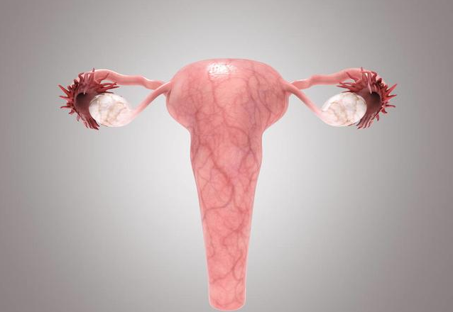 月经不准时怀孕了对胎儿有影响吗 月经对怀孕的影响