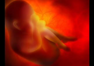 孕期胎盘老化和胎盘钙化哪个伤害大 怀孕的你要注意胎盘钙化和老化的区别