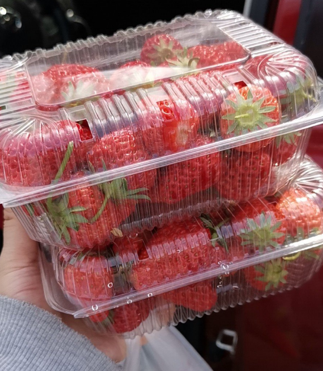 出去摘草莓的心情说说 到室外摘草莓心情感慨