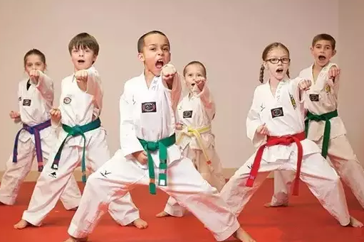 孩子学跆拳道还是武术 孩子学跆拳道和武术哪个更实用