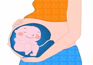 准妈妈六个月应该怎么吃好 准妈妈怀孕6月饮食注意事项