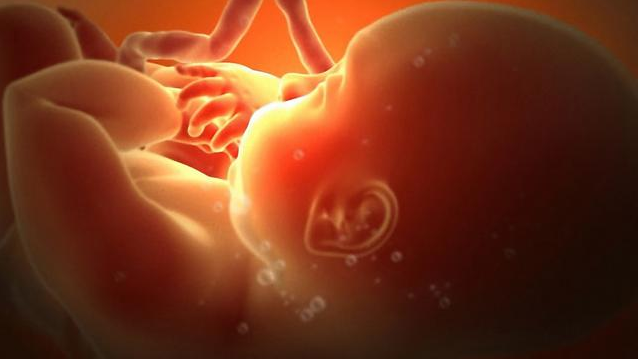 胎儿什么时候可以听到声音 胎儿听力的发育过程