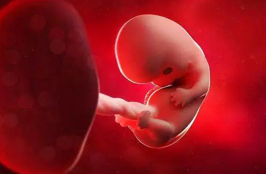 孕早期怎么预防胎漏出现 胎漏出现的原因有哪些