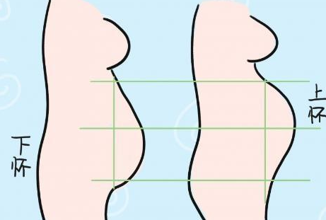 孕妇上怀和下怀有什么区别 上怀和下怀的不同点