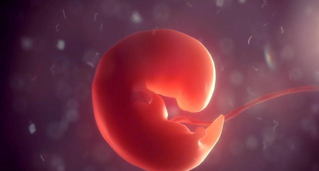 怎么判断胎停育了 怀孕查不到胎芽胎心是胎停育了吗