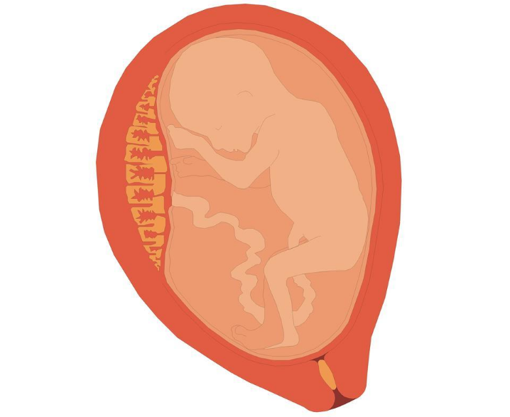 备孕输卵管堵塞是什么情况 哪些情况会导致输卵管堵塞