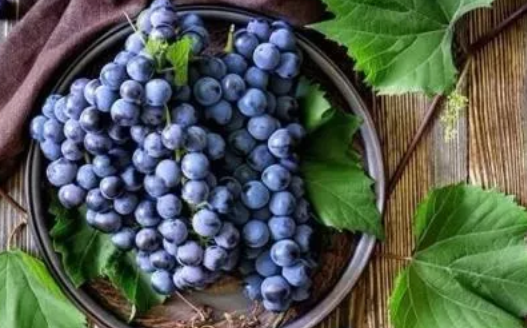 哺乳期能吃葡萄吗 哺乳期吃葡萄注意什么