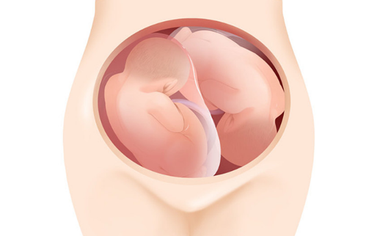 孕早期胎停有哪些症状 影响胎停的因素