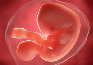 什么时候没有胎芽胎心建议放弃妊娠 胎心胎芽出现时间早晚原因