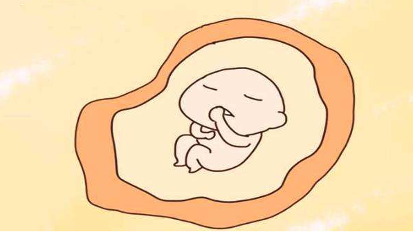 孕囊看男女怎么看 孕囊看胎儿性别准吗