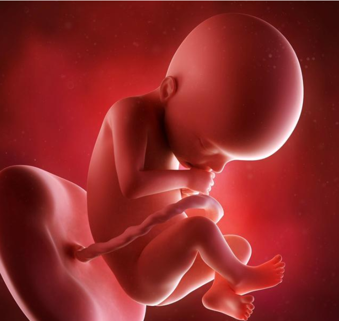 孕期噪音会导致胎儿流产吗 噪音对胎儿有什么危害