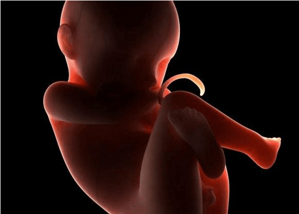 孕晚期缺铁对胎儿有什么影响 孕晚期缺铁怎么补