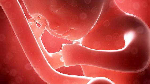 孕妇什么行为会导致胎儿脐带绕颈 胎儿脐带绕颈怎么办