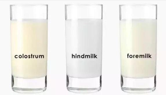 产后初乳是什么颜色 初乳哪种颜色是正常的