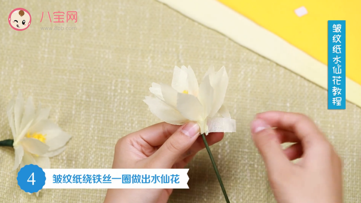 皱纹纸水仙花视频教程 皱纹纸水仙花制作方法